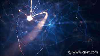 Your Brain Operates at the Edge of Chaos, But That's Actually a Good Thing     - CNET