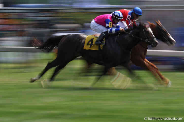 Early Voting Wins Preakness Stakes Amid Record Heat