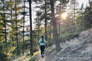 New trail run race being planned for Fox Mountain – Williams Lake Tribune - Williams Lake Tribune