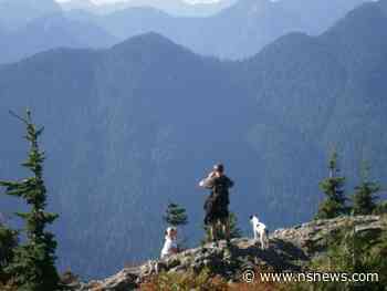 North Vancouver's Dog Mountain Trail on Mount Seymour closed - North Shore News