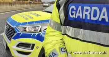 Social welfare officers work with gardai to nab driver using sneaky system to break rules - Irish Mirror