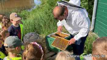 Kindergarten Apen: Imker informiert auf Obstwiese an der Norderbäke über das Leben der Insekten - Nordwest-Zeitung