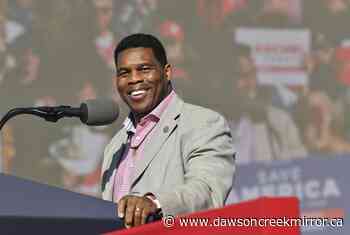 Herschel Walker's ties to veterans program face scrutiny - Dawson Creek Mirror