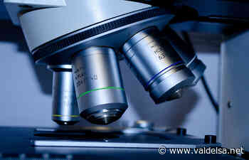 147 i nuovi positivi al coronavirus nella provincia di Siena - Valdelsa.net