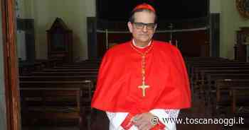 Siena, domani la Giornata MoFra “Francesco va' e ripara la mia casa”. Messa con il card. Lojudice - Toscanaoggi.it