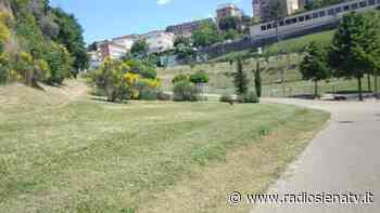 Siena, il Comune al lavoro per il taglio dell’erba - RadioSienaTv