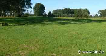 Huiskamerconcert ten voordele van Walbos | Tielt | hln.be - Het Laatste Nieuws