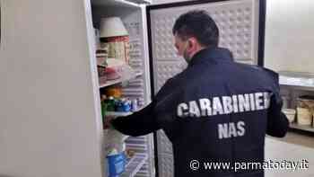 Sicurezza alimentare, multe e sequestri dei Nas: a Parma trovato un disco-bar non in regola - ParmaToday
