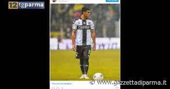 Parma, Brunetta ai saluti. Per la panchina spunta il nome di Bielsa - Video - Gazzetta di Parma