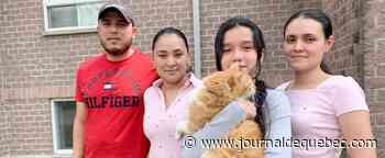 Une famille craint le pire si le Canada l’expulse
