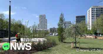 Eerste deel nieuw park aan Gedempte Zuiderdokken in Antwerpen is klaar - VRT NWS
