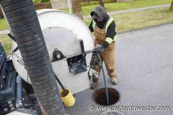 Smoke may rise from sewers, drains in Langley City – Aldergrove Star - Aldergrove Star
