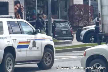 VIDEO: Truck thief sped onto sidewalks to avoid RCMP in Langley – Aldergrove Star - Aldergrove Star