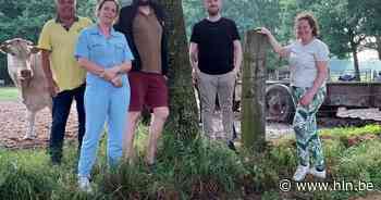 Lokale ondernemers lanceren tweede editie van Koetjestocht | Dessel | hln.be - Het Laatste Nieuws