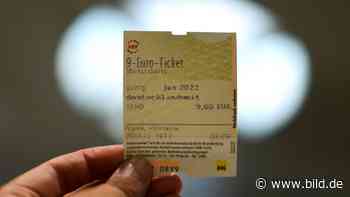 Die wichtigsten Fragen: Was bringt mir das 9-Euro-Ticket? - BILD