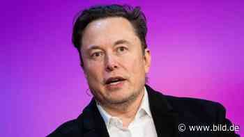 Tesla-Chef Elon Musk sucht Rambo-Anwälte: „Es wird Blut fließen“ - BILD