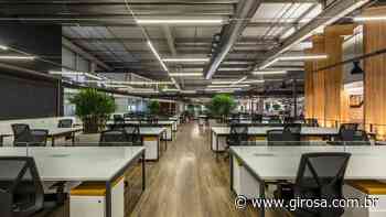 EMPREGO: Cacau Show, em Itapevi, anuncia 100 vagas de trabalho para atuar na sede da empresa - Giro S/A