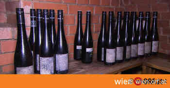 Winzer haben Top-Weine und Probleme - wien.orf.at