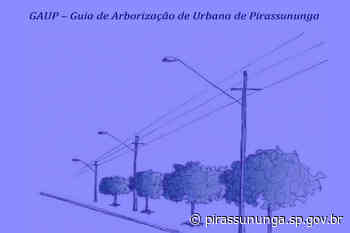 Guia de Arborização Urbana de Pirassununga - Prefeitura Municipal de Pirassununga (.gov)