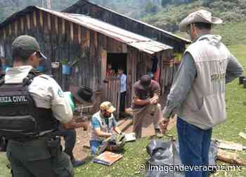 Clausuran SSP Veracruz y Profepa predio forestal en Coatepec - Imagen de Veracruz