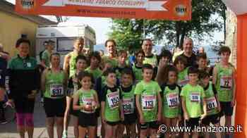 Alberti trionfa nel "Città Verde" Oggi va in scena la "Corri Cecina" - LA NAZIONE