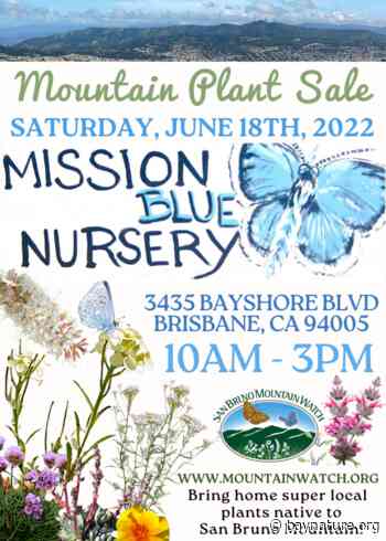 Plant Sale at Mission Blue Nursery: San Bruno Mountain Natives - - Bay Nature