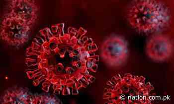 Pakistan logs another 76 coronavirus case, no fatality - The Nation