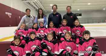 City of Westmount, Que. introduces its first all-girls hockey team - Montreal | Globalnews.ca - Global News