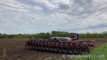 Wet, cool weather continues to delay planting season as farmers weigh whether to stop altogether
