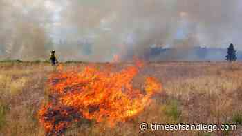 Forest Service Halts Controlled Burns Nationwide After New Mexico Disaster - Times of San Diego