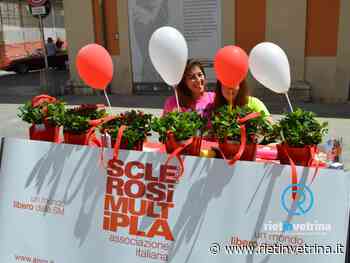 Le volontarie AISM ti aspettano a Rieti e provincia con le Gardensie della ricerca - Rietinvetrina