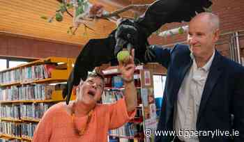 Junction Arts Festival continues long link with Clonmel artist Des Dillon - Tipperary Live