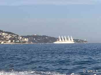 L’un des plus gros voiliers du monde au port de Nice : voici comment monter à bord - Le Pays d'Auge
