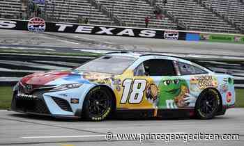 Kyle Busch's pit crew All-Stars for qualifying in Texas - Prince George Citizen