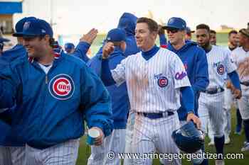 What's happening lately with Chicacgo Cubs prospect Jared Young? - Prince George Citizen
