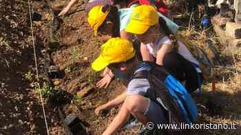 Cento piantine attorno ai campi da tennis: a Solarussa i più piccoli celebrano la Giornata della terra - LinkOristano