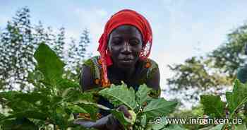 Wirtschaft fordert Umdenken in deutscher Entwicklungspolitik