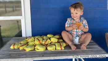 2-year-old orders 31 cheeseburgers after mom leaves phone unlocked