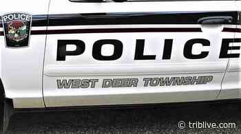 Police: West Deer man arrested on felony gun charge during domestic dispute - TribLIVE