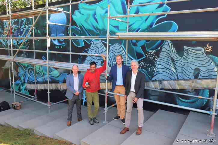 Graffitikunstenaars toveren onderwaterwereld op muur sportpark