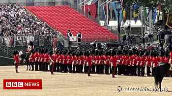 Trooping the Colour: Spectators injured at rehearsal
