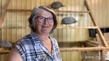 Got ticks? One Sask. woman says try guinea fowl