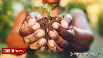 Future foods: What you could be eating by 2050