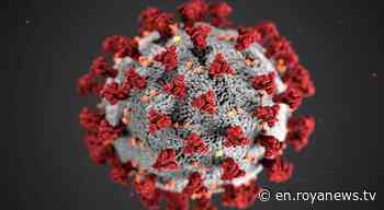 Jordan confirms zero deaths and 309 coronavirus - Roya News English