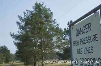 Gelände wird ab April untersucht - Lampertheim - Nachrichten und Informationen - Mannheimer Morgen