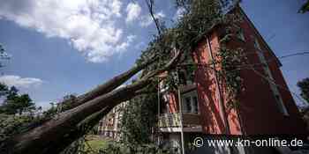 Paderborn nach dem Tornado: Verwüstung, die fassungslos macht