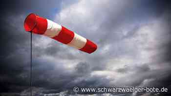 Sturm in Schramberg - Rund zehn Prozent der Schüler bleiben wegen "Ylenia" zu Hause - Schwarzwälder Bote