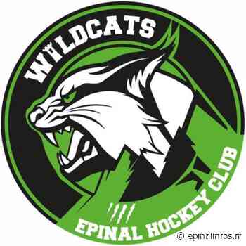Hockey : Appelez-les désormais "Wildcats" ! - Epinal infos - Epinal Infos