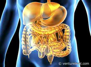 Imec makes strides in creation of a medical digital twin for gut health - VentureBeat