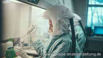 Affenpocken-Virus: „Täglich mehr Fälle“ in Großbritannien